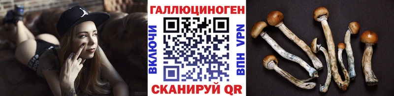 купить наркоту  Вяземский  Псилоцибиновые грибы прущие грибы 